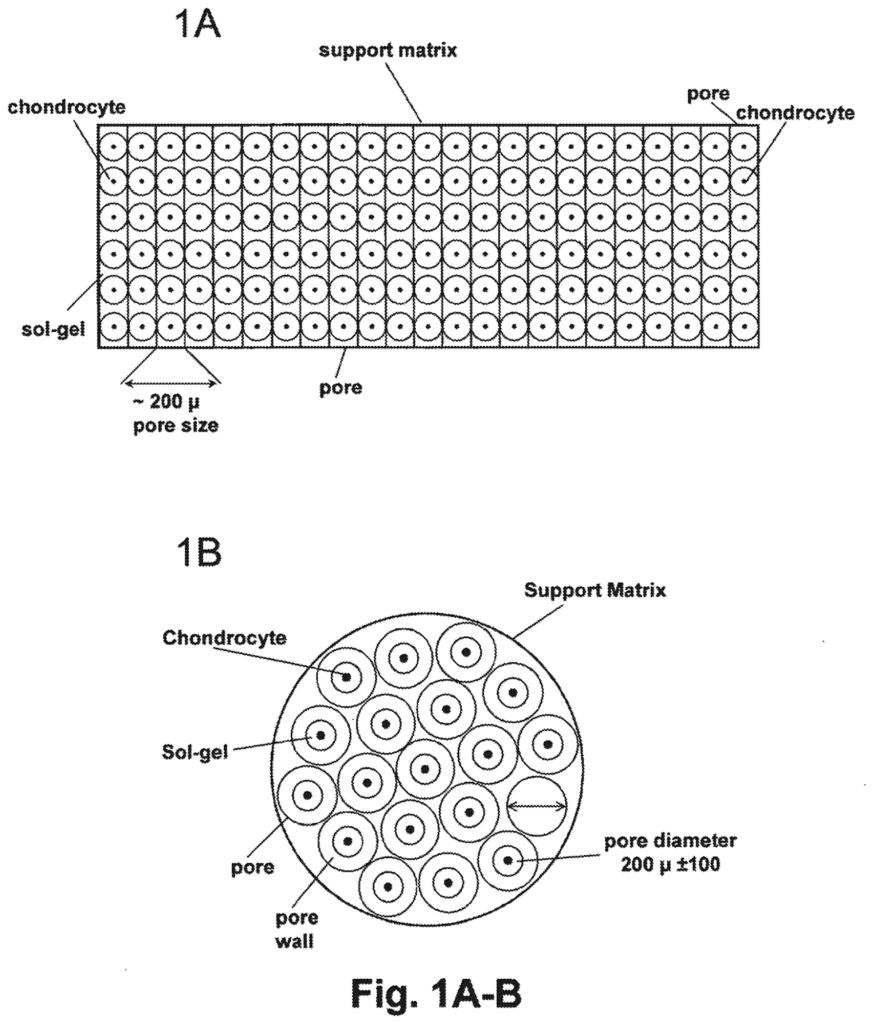 Image from US2025171736A1