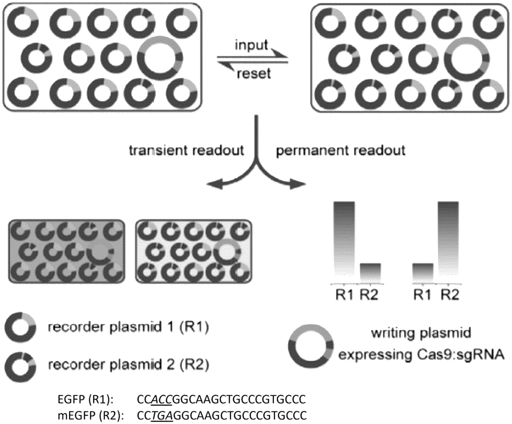 image from US2025136960A1