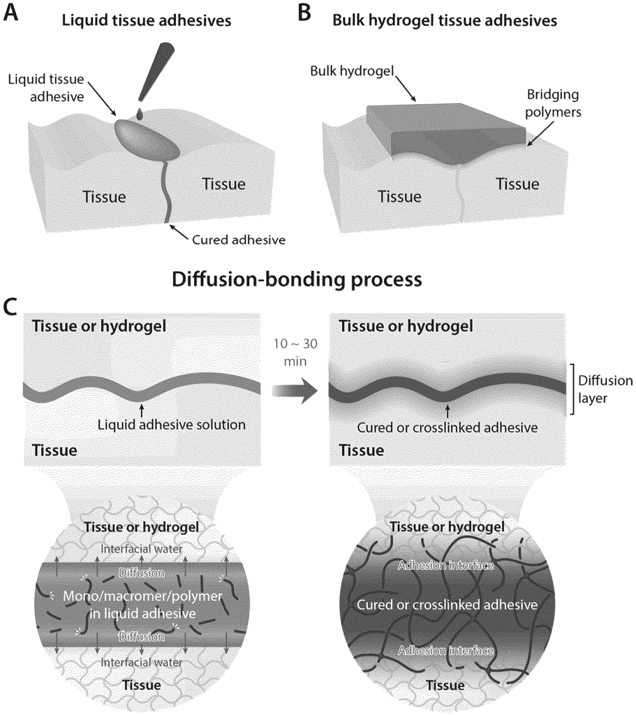 Image from US2025084284A1